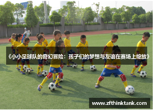 《小小足球队的奇幻冒险：孩子们的梦想与友谊在赛场上绽放》