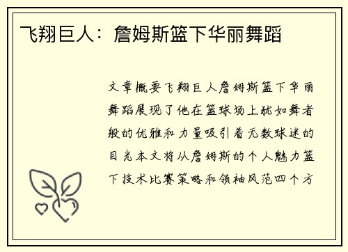 飞翔巨人：詹姆斯篮下华丽舞蹈
