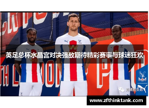 英足总杯水晶宫对决强敌期待精彩赛事与球迷狂欢